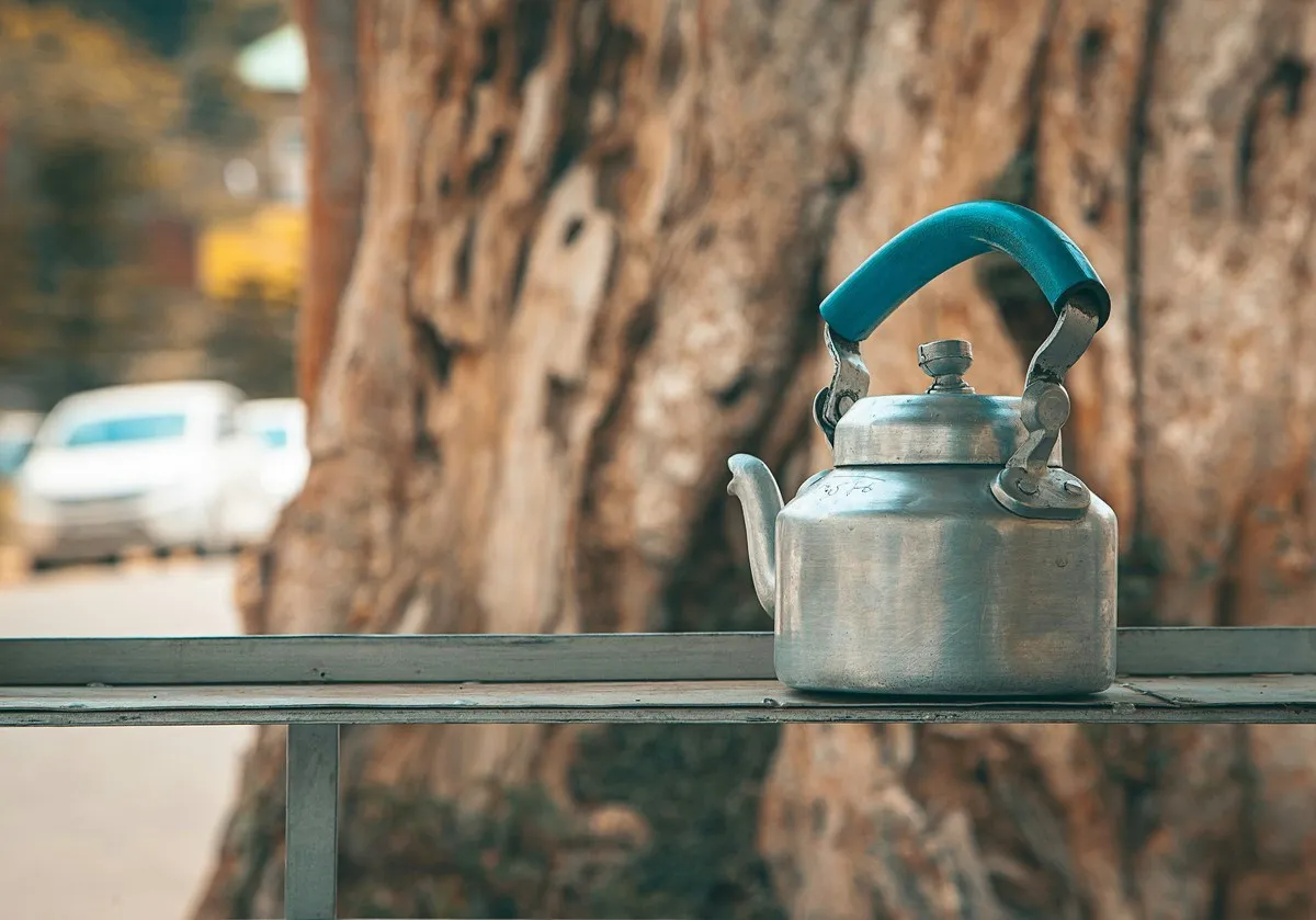 A stainless steel stovetop kettle with a teal handle, outdoors