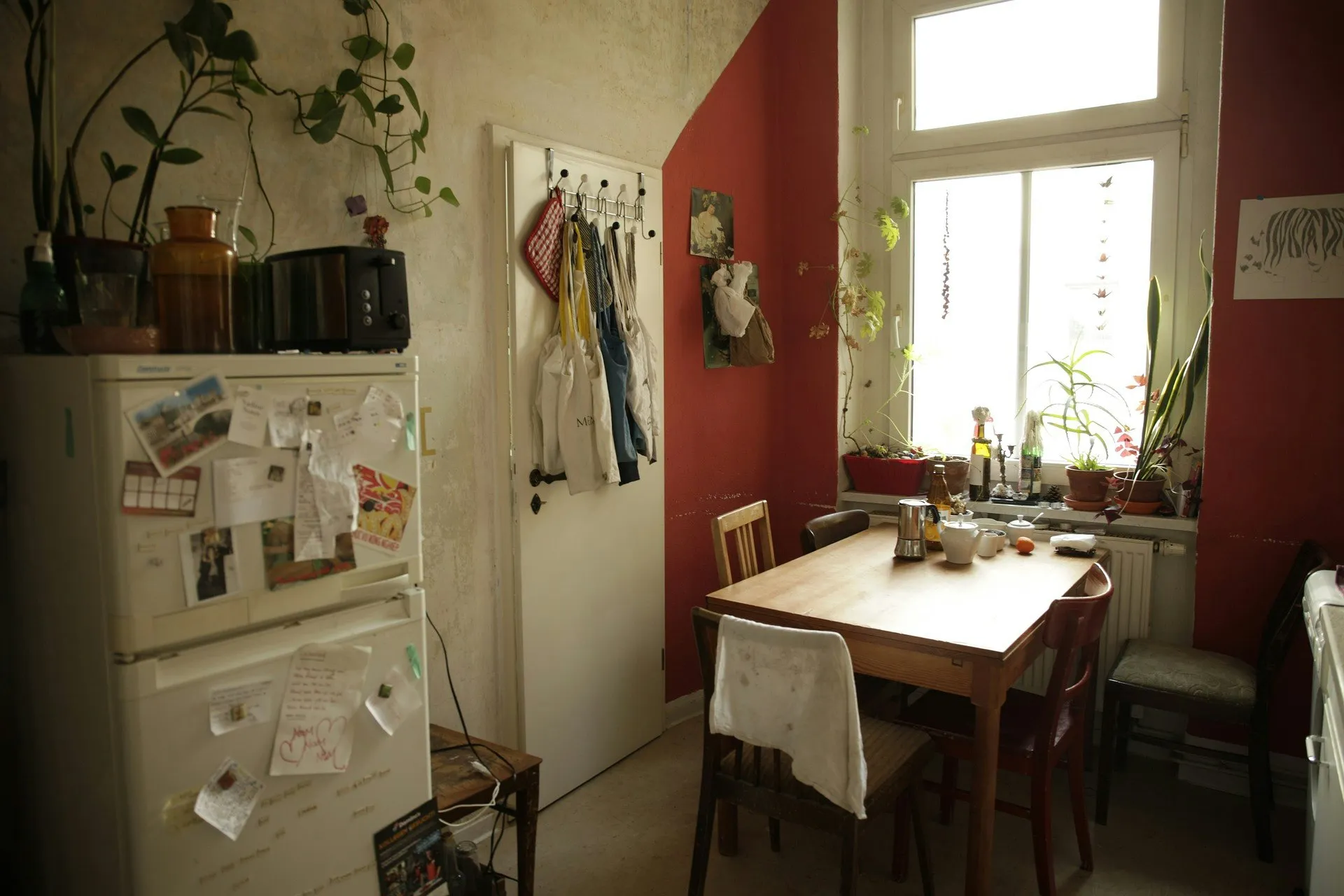 An old fridge covered in notes and magnets in a small, sunny kitchen